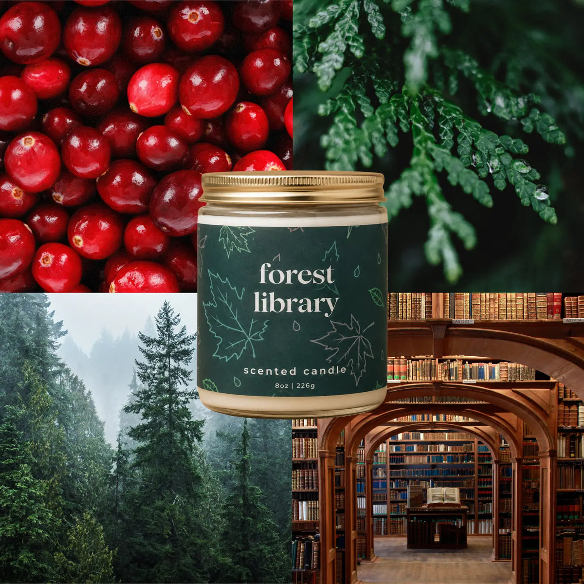 NEW! Forest Library
